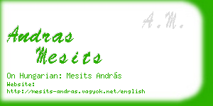 andras mesits business card